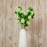 Hill Interiors Green Snowball Viburnum Spray with clustered pale green florets and leaves arranged in a tall white ceramic vase against a wooden plank wall.