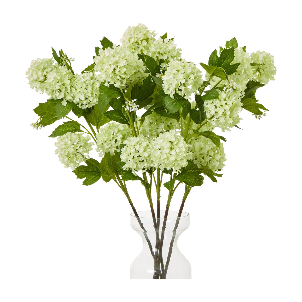 Hill Interiors Green Snowball Viburnum Spray arranged in a clear glass vase, showing clustered pale green florets and broad leaves on a white background.