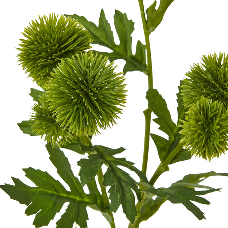 Hill Interiors Green Globe Thistle Spray with spiky rounded flower heads in soft green tones and slim leaves along the branching stem, on a white background.