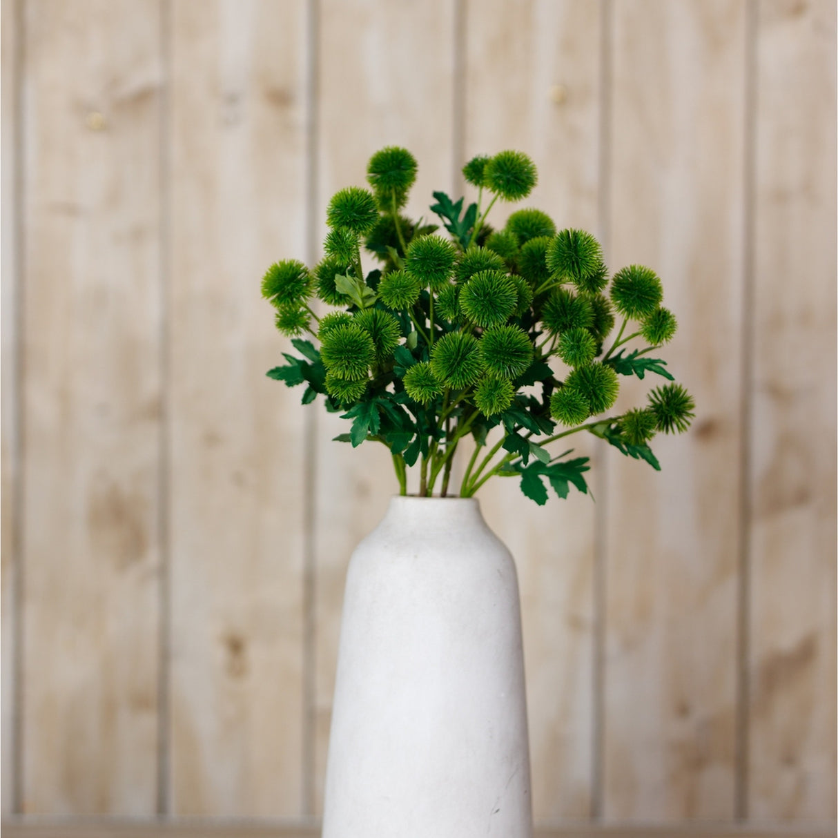 Hill Interiors Green Globe Thistle Spray arranged in a tall white ceramic vase against a light wooden panel background.