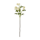 Hill Interiors Cream Globe Thistle Spray, a 56cm faux stem with rounded spiky cream flower heads and slim green leaves on a plain background.