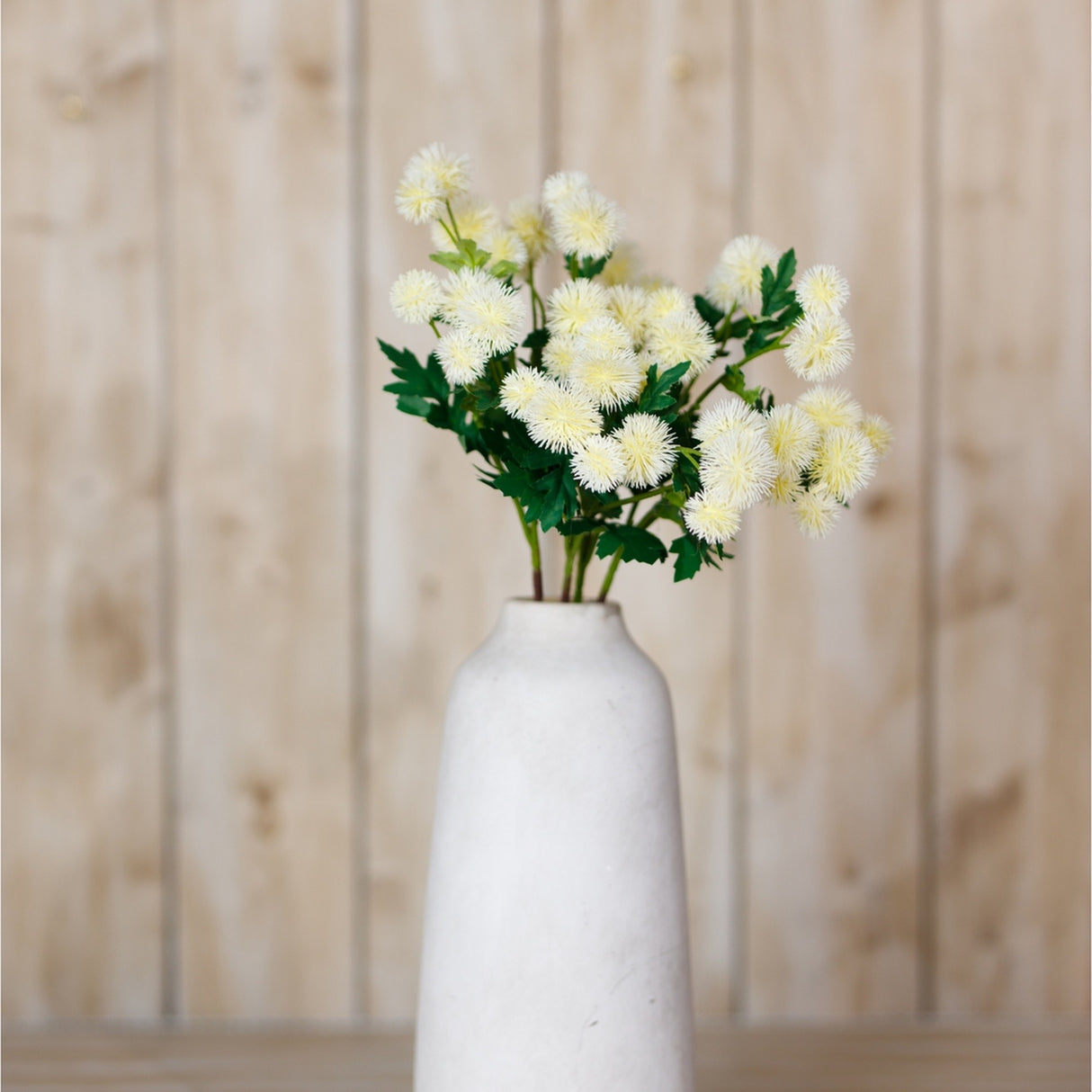 Hill Interiors Cream Globe Thistle Spray with rounded spiky florets and green foliage arranged in a tall white ceramic vase against a wooden panel backdrop.