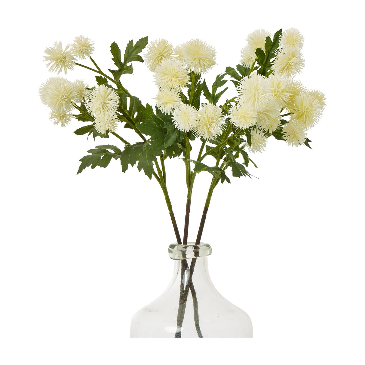 Hill Interiors Cream Globe Thistle Spray with rounded spiky florets and slim green foliage, arranged in a clear glass bottle vase against a white background.