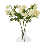 Hill Interiors Cream Globe Thistle Spray with rounded spiky florets and slim green foliage, arranged in a clear glass bottle vase against a white background.