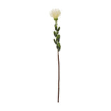 Hill Interiors Cream Pincushion Protea Spray, a 61cm faux stem with a domed cream filament bloom and green leaves, shown on a plain white background.