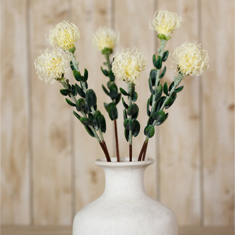 Hill Interiors Cream Pincushion Protea Sprays with rounded filament blooms and green leaves arranged in a cream ceramic vase against wood panelling.