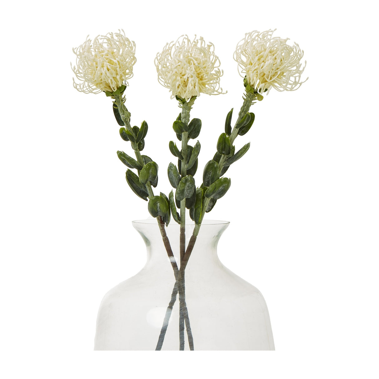 Hill Interiors Cream Pincushion Protea Spray shown as three faux stems with domed filament blooms and green leaves arranged in a clear glass vase.