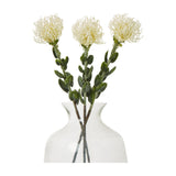 Hill Interiors Cream Pincushion Protea Spray shown as three faux stems with domed filament blooms and green leaves arranged in a clear glass vase.