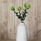 Hill Interiors Green Pincushion Protea Spray with three spiky flowerheads and leathery leaves in a tall white ceramic vase against wood panelling.