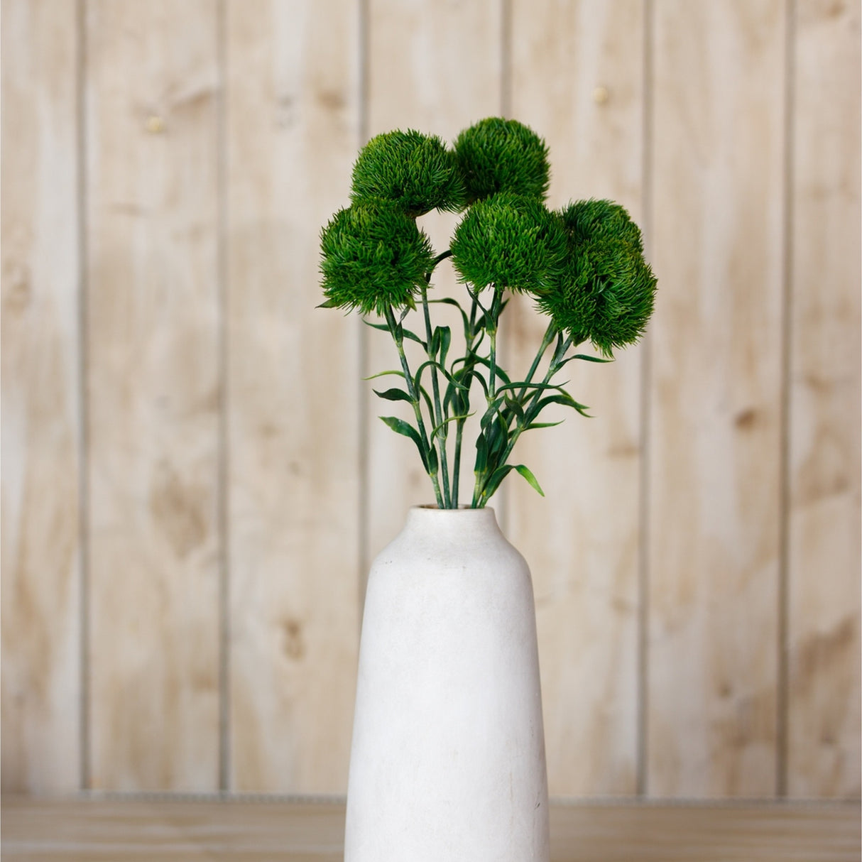 Hill Interiors Dark Green Dianthus Stem with ruffled green blooms and foliage displayed in a tall white ceramic vase against a wood plank background.