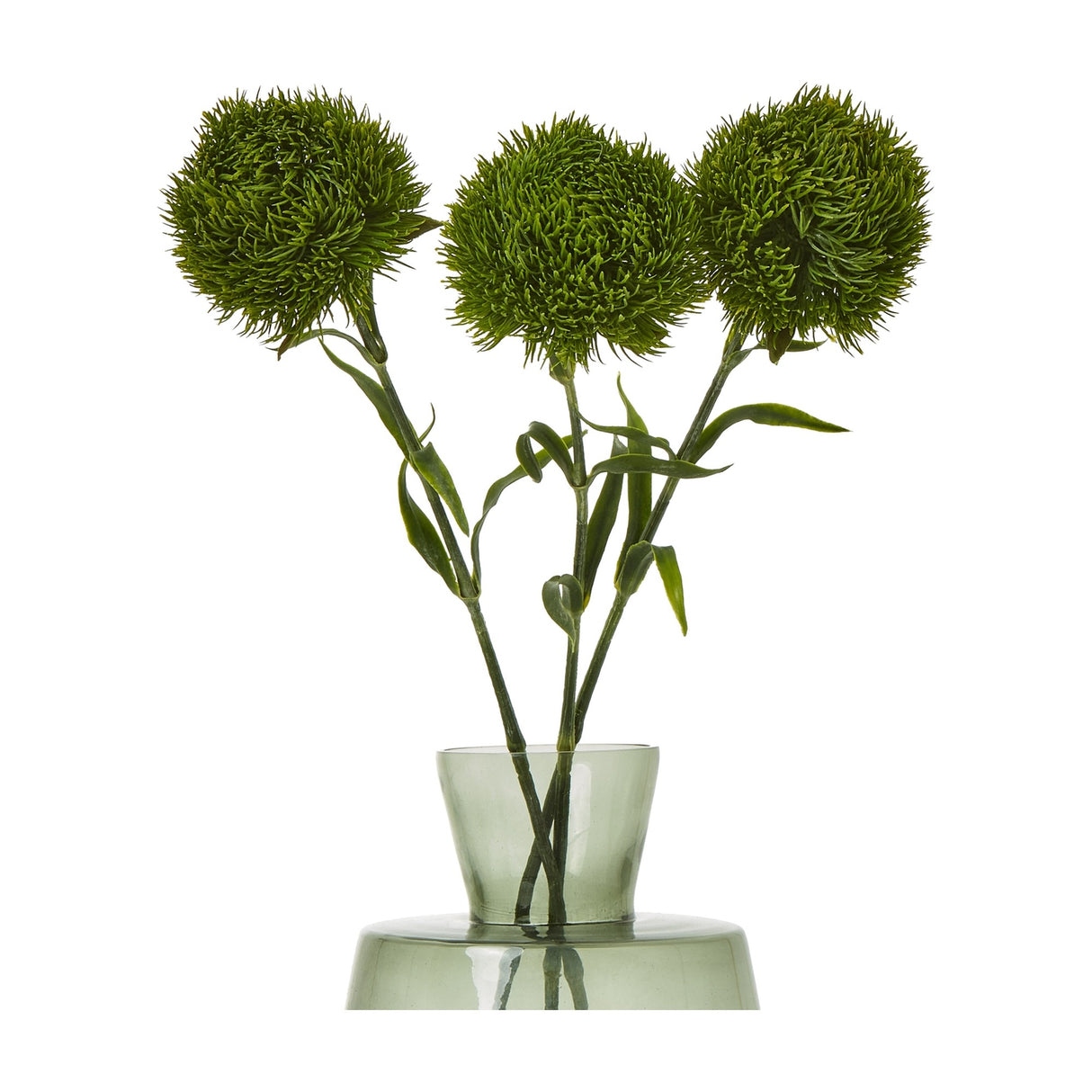 Hill Interiors Dark Green Dianthus Stems arranged in a green glass vase, showing three ruffled spherical blooms with serrated petals and leafy stems.
