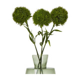 Hill Interiors Dark Green Dianthus Stems arranged in a green glass vase, showing three ruffled spherical blooms with serrated petals and leafy stems.
