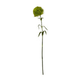 Hill Interiors Light Green Dianthus Stem with a ruffled pale green bloom and long leafy stem, shown against a plain white background.