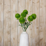 Hill Interiors Light Green Dianthus Stem with fringed ball-shaped blooms displayed in a white ceramic vase against a light wood plank background.