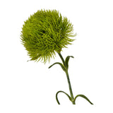 Hill Interiors Light Green Dianthus Stem, a faux flower with a rounded fringed pale green bloom on a slender leafy stem, shown on a white background.