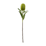 Hill Interiors large green Banksia Serrata faux stem with a cylindrical bottlebrush flower head and serrated leaves on a plain white background.