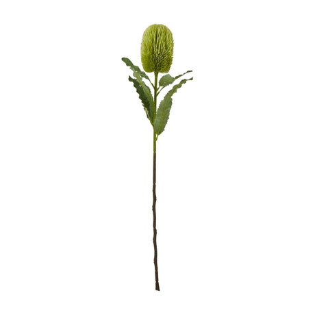 Hill Interiors large green Banksia Serrata faux stem with a cylindrical bottlebrush flower head and serrated leaves on a plain white background.
