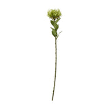 Hill Interiors Green Protea Lorea Stem, a 73cm faux plastic flower with a cone-shaped green bloom and leafy stem, on a plain white background.