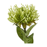 Hill Interiors Green Protea Lorea Stem faux flower with cone-shaped bloom of pointed green petals and tapered leaves on a plain white background.