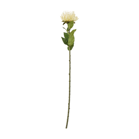 Hill Interiors Cream Protea Lorea Stem, a 73cm faux flower with a dense cream bloom, green leaves, and long stem on a plain white background.