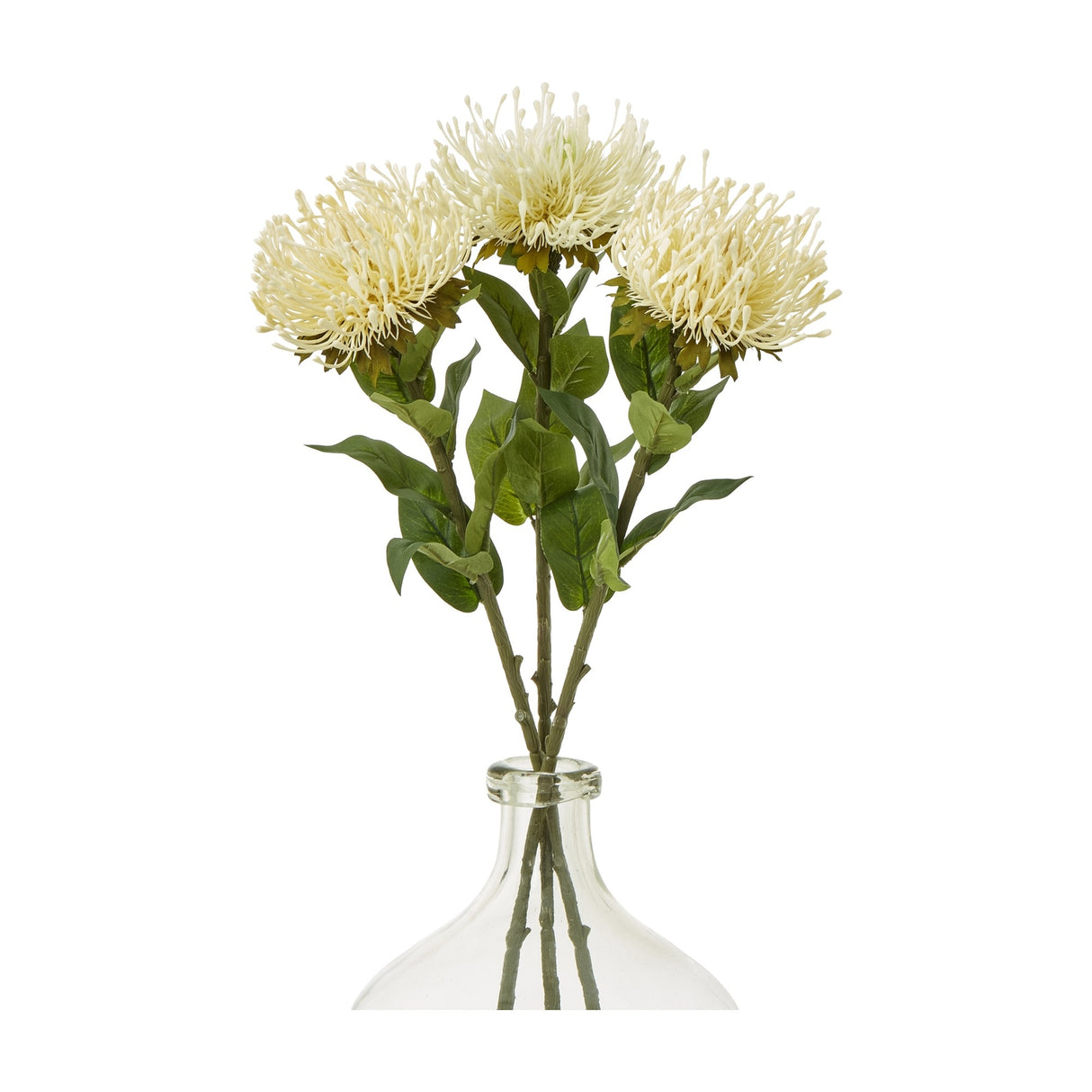 Cream Protea Lorea Stem