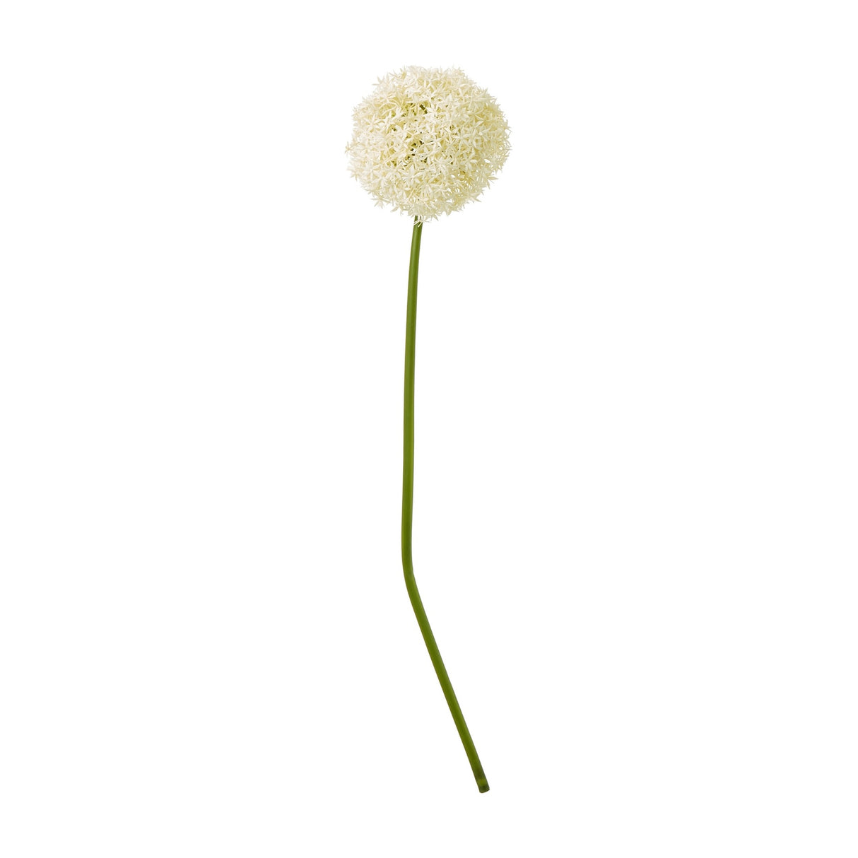 Hill Interiors Cream Giant Allium Stem with a spherical head of tiny star-shaped cream florets on a long green plastic stalk against a white background.