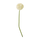 Hill Interiors Cream Giant Allium Stem with a spherical head of tiny star-shaped cream florets on a long green plastic stalk against a white background.