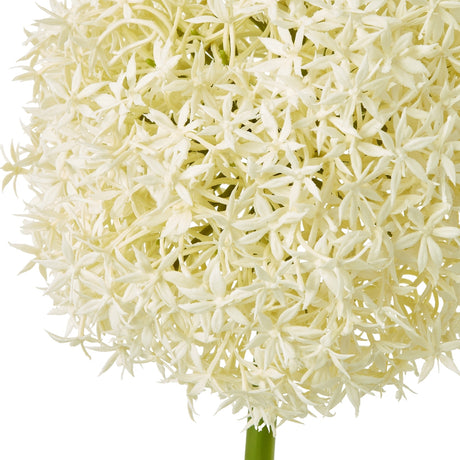 Close-up of Hill Interiors Cream Giant Allium Stem showing the rounded globe head of tiny cream star-shaped florets on a green plastic stalk.