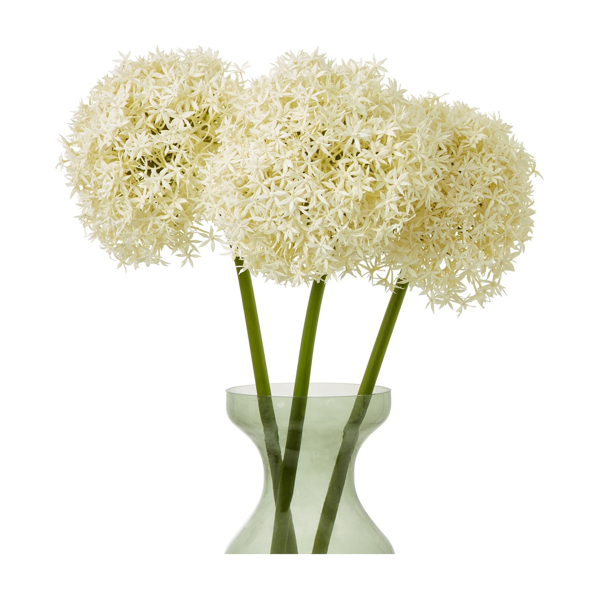 Three Hill Interiors Cream Giant Allium Stems with rounded star-floret heads on green plastic stalks, arranged in a pale green glass vase.