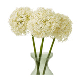 Three Hill Interiors Cream Giant Allium Stems with rounded star-floret heads on green plastic stalks, arranged in a pale green glass vase.