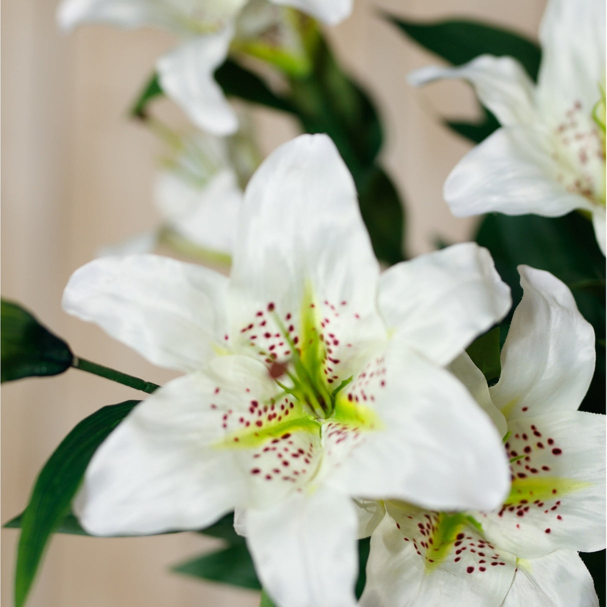 Close-up of the Hill Interiors White Madonna Lily Spray with open white petals, red speckles, yellow-green centres and slender stamens among green leaves.