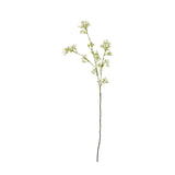 Hill Interiors Cream Gypsophila Spray with clusters of tiny pale cream blooms along fine branching green stems, shown against a plain white background.