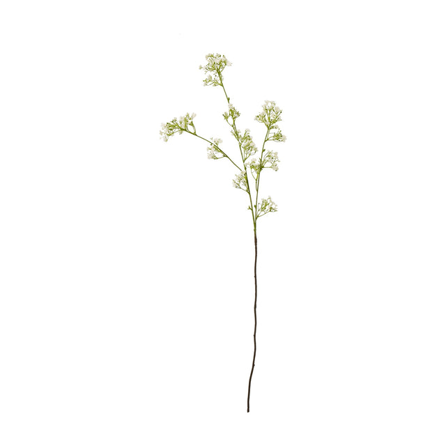 Hill Interiors Cream Gypsophila Spray with clusters of tiny pale cream blooms along fine branching green stems, shown against a plain white background.