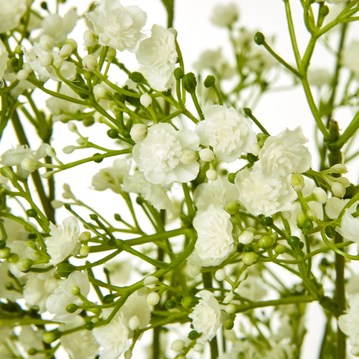 Close-up of Hill Interiors Cream Gypsophila Spray showing clusters of tiny cream blooms and buds along slender green branching stems.