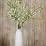 Hill Interiors Cream Gypsophila Spray arranged in a tall white vase against a wooden panel background, showing clusters of tiny cream blooms on fine stems.
