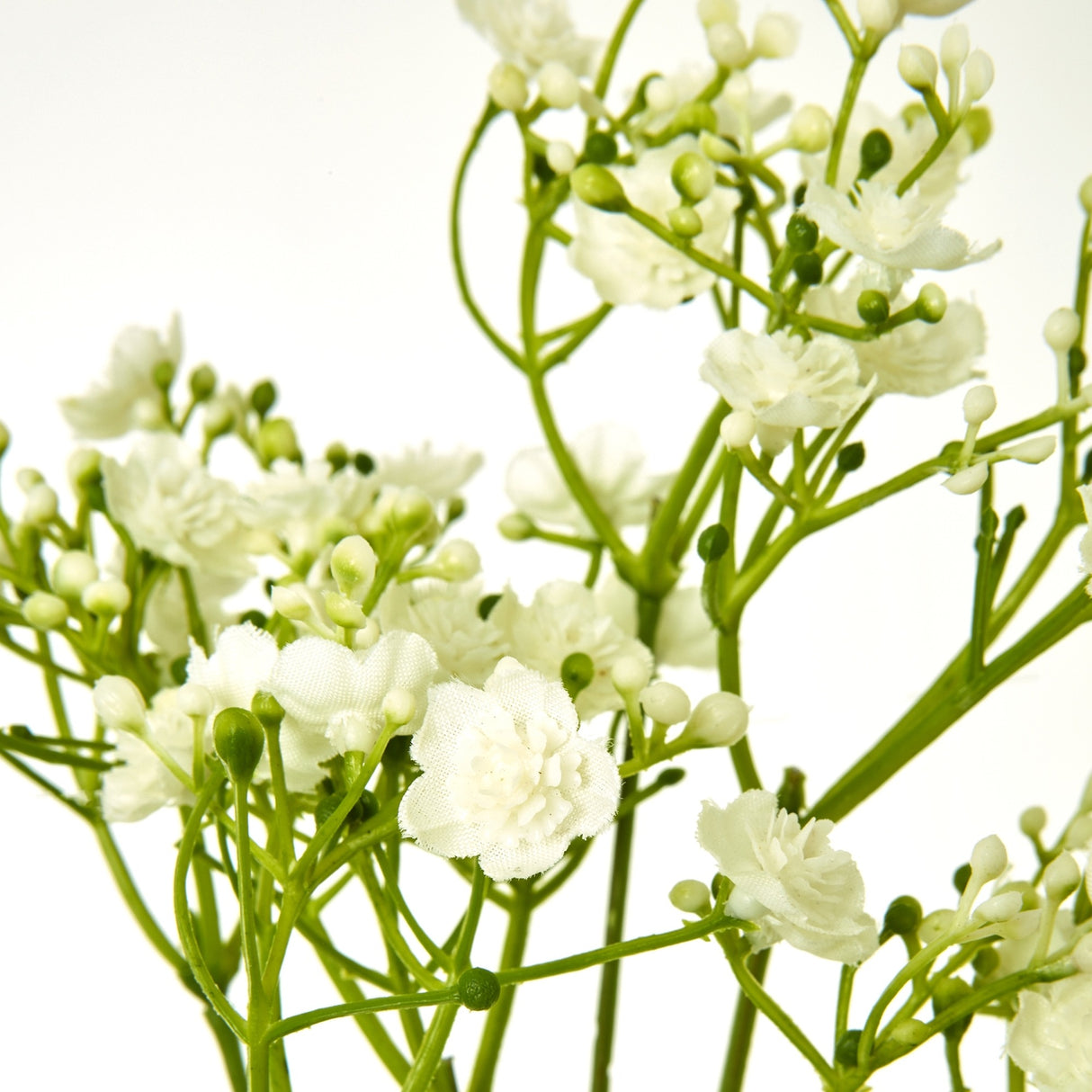 Close-up of Hill Interiors Cream Gypsophila Stem showing tiny cream blooms and buds clustered along fine green branching sprigs against a white background.