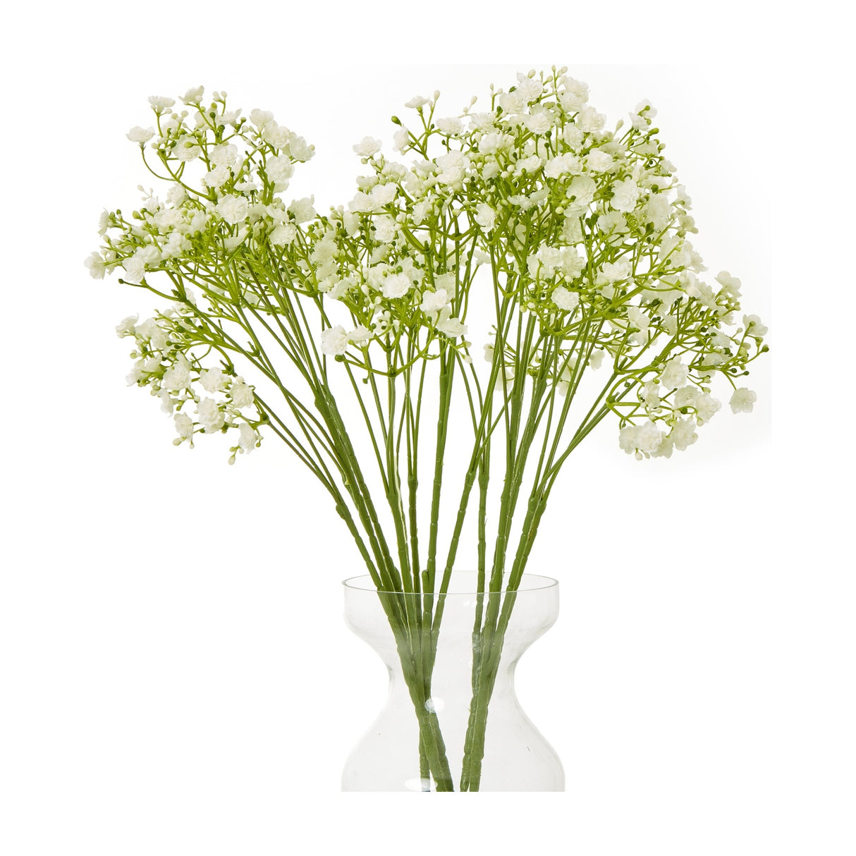 Hill Interiors Cream Gypsophila Stems arranged in a clear glass vase, with tiny cream blooms clustered along fine green branching sprigs on a white background.