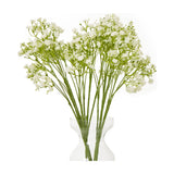 Hill Interiors Cream Gypsophila Stems arranged in a clear glass vase, with tiny cream blooms clustered along fine green branching sprigs on a white background.
