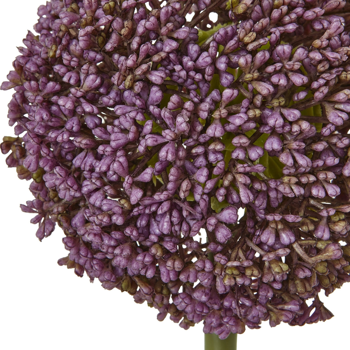 Close-up of Hill Interiors Purple Allium Stem showing the rounded globe head packed with tiny star-shaped florets in graduated purple tones.