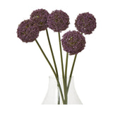 Hill Interiors Purple Allium Stems arranged as five faux flowers with round purple pom-pom heads on tall green stems in a clear glass vase.