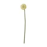 Hill Interiors Cream Allium Stem, a faux flower with a rounded cream pom-pom bloom on a long green plastic stem, shown against a plain white background.
