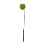 Hill Interiors Green Allium Stem, a 75cm faux flower with a globe-shaped cluster of tiny green florets on a slim curved stem, shown on a white background.