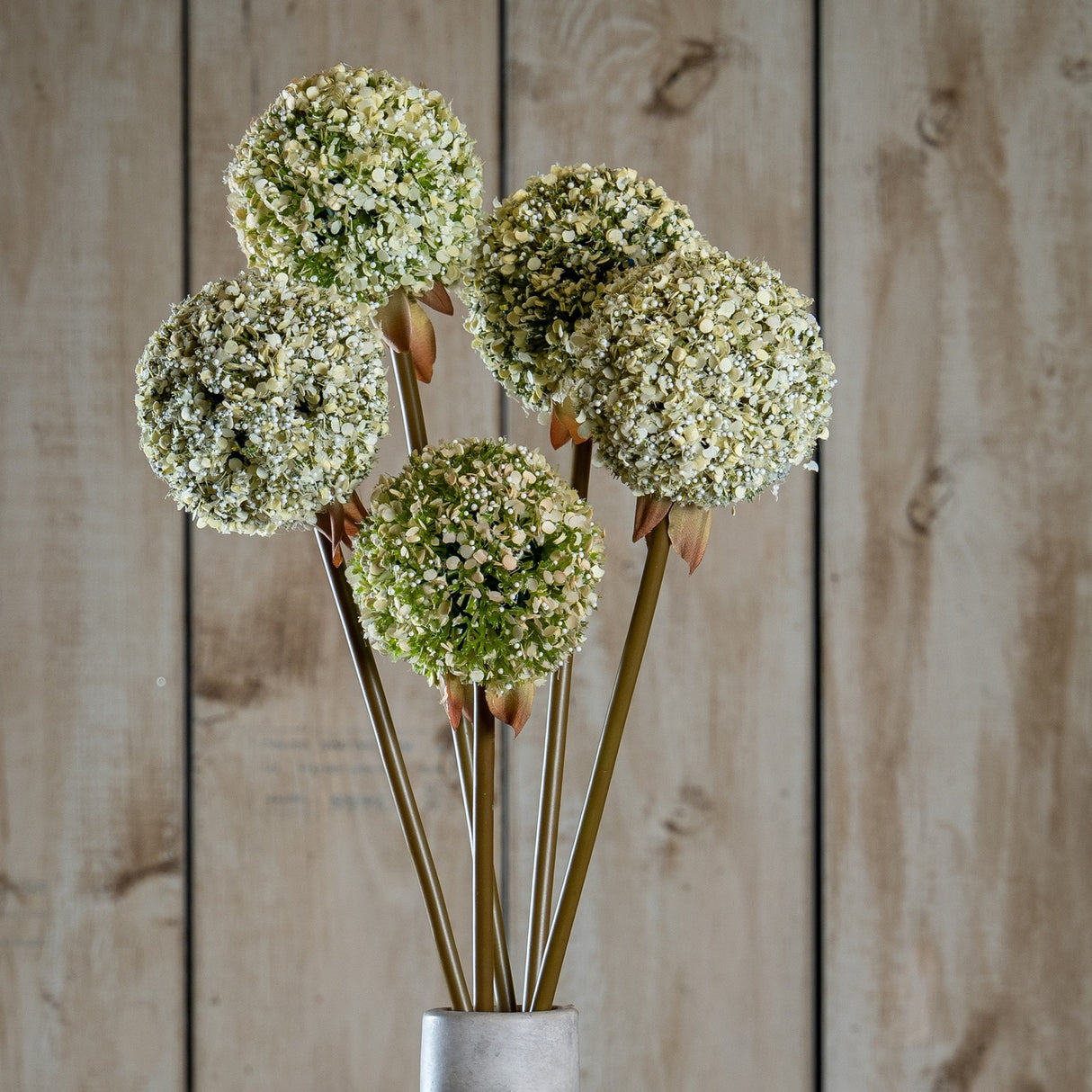 Hill Interiors Green Allium Stems arranged in a stone vase, showing rounded pale green floret globes on tall slim stems against a wooden plank backdrop.