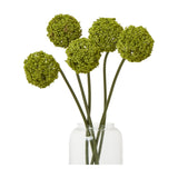 Hill Interiors Green Allium Stems arranged in a clear glass vase, showing five rounded pom-pom flower heads on slim green stems against a white background.