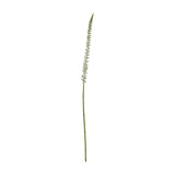 Hill Interiors White Eremurus Stem, a tall faux foxtail lily with a tapering spire of pale florets on a slender green stem, shown on a white background.