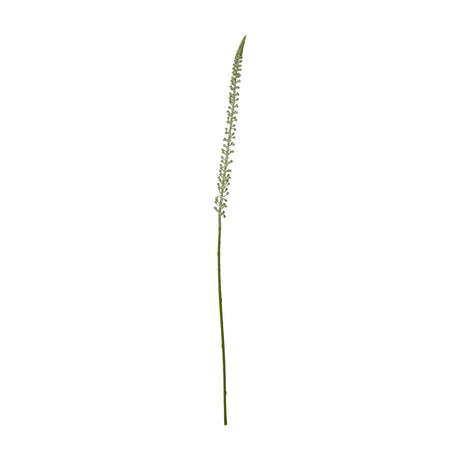Hill Interiors White Eremurus Stem, a tall faux foxtail lily with a tapering spire of pale florets on a slender green stem, shown on a white background.