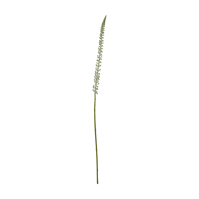 Hill Interiors White Eremurus Stem, a tall faux foxtail lily with a tapering spire of pale florets on a slender green stem, shown on a white background.