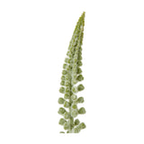Hill Interiors White Eremurus Stem, a tall artificial foxtail lily spire with densely packed white florets tapering to a point, on a white background.