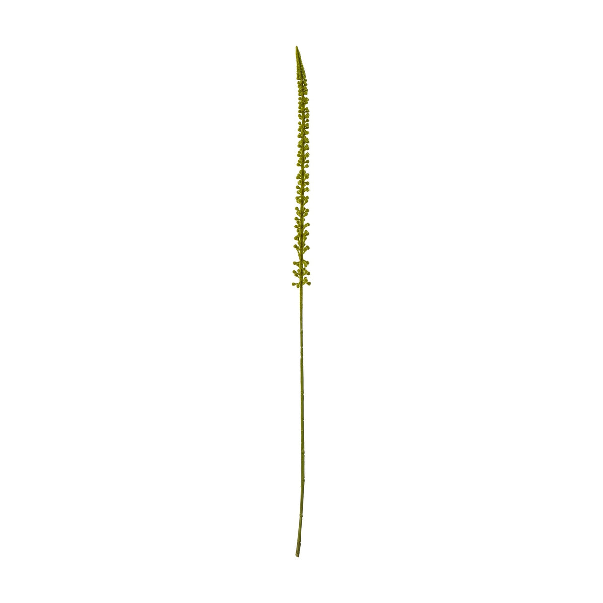 Hill Interiors Green Eremurus Stem, a tall 88cm faux foxtail lily with densely clustered green florets tapering to a slim point, shown on a white background.