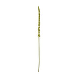 Hill Interiors Green Eremurus Stem, a tall 88cm faux foxtail lily with densely clustered green florets tapering to a slim point, shown on a white background.